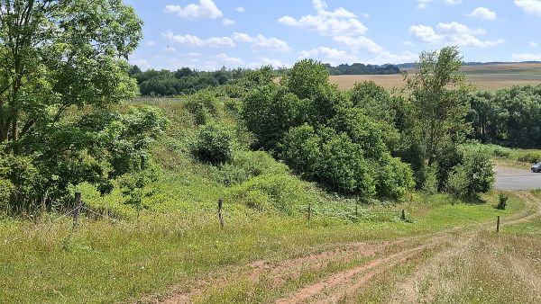 Pestrá vegetace na obtížně udržovaném svahu