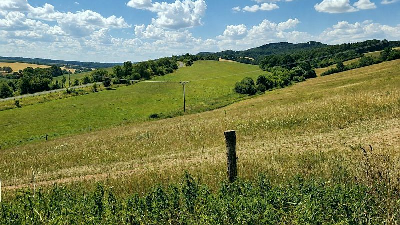 Rozdílné barvy vegetace jako důsledek rozdílných podmínek a vlhkosti