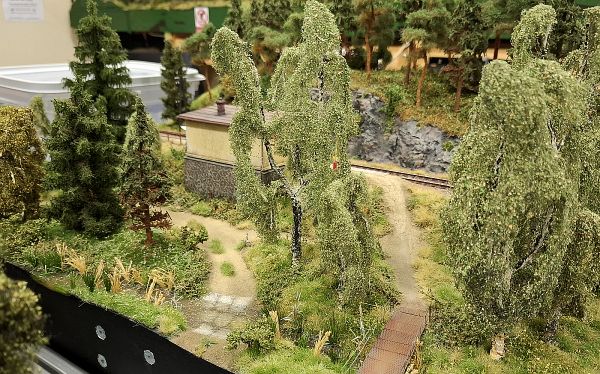 Modelové převedení přirozené krajinné pestrosti na modelu klubu Jesenice