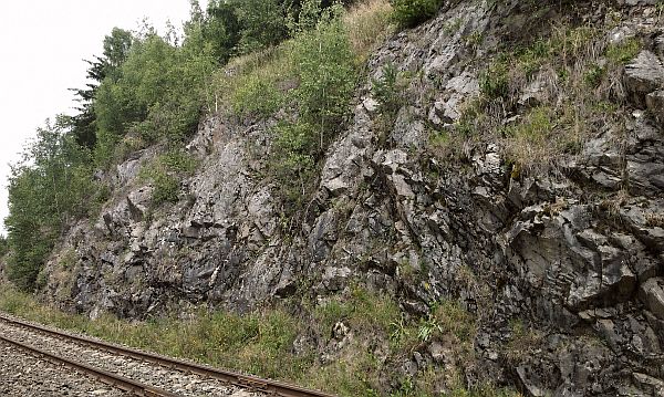 Vegetace zachycená v puklinách, na římsách a u paty skalní stěny