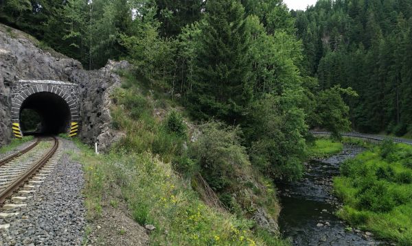Kontrast suššího skalnatého svahu a sytější tmavé vegetace bezprostředně kolem vody