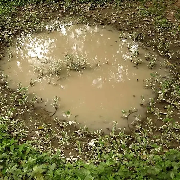 Kaluže a stojatá voda (Puddles) 60 ml