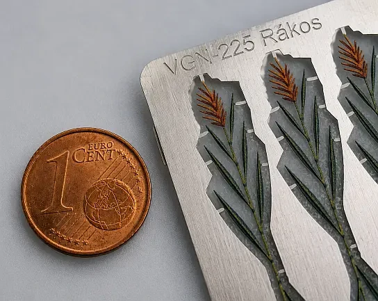 Detail rákosu VGN-225 vedle 1centové mince pro představu o velikosti